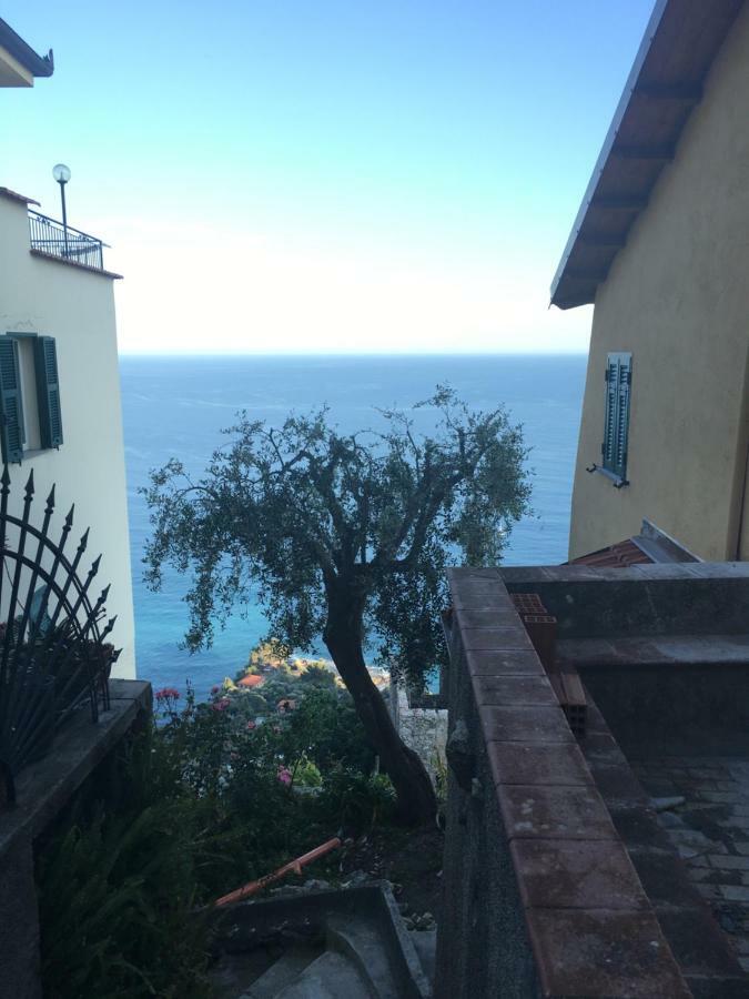 House In Grimaldi. Spectacular View Over The French Riviera! Grimaldi  Luaran gambar